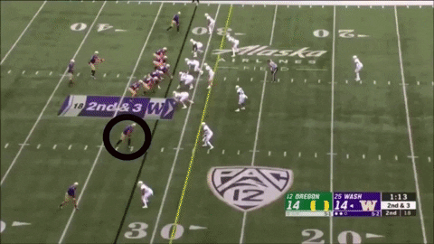 sletizia14 giphyupload GIF