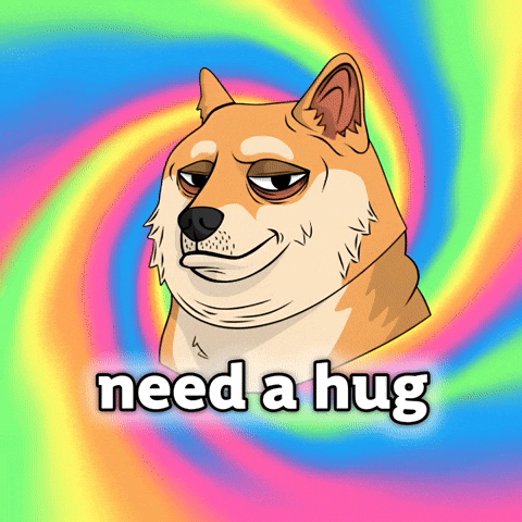 Shiba Inu Dog GIF by Doge Pound
