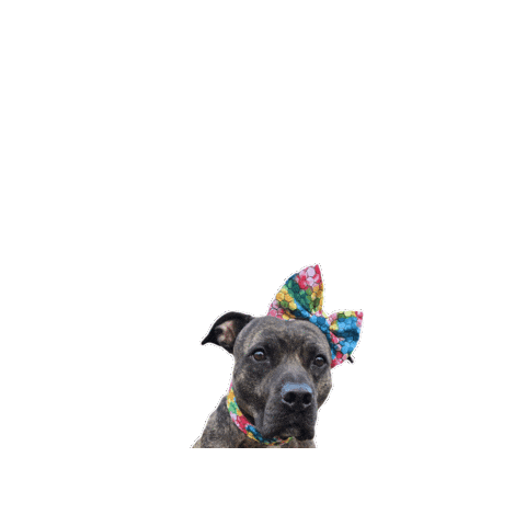 Bow Farmhands Sticker by JSRanchDogDesigns
