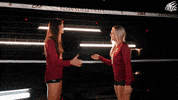 College Athletics Ncaa GIF by Elon Phoenix