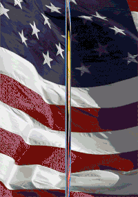 Hillary Clinton Election GIF by Studios 2016