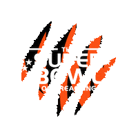 Super Bowl Crossroads Sticker by crsrdsstudents