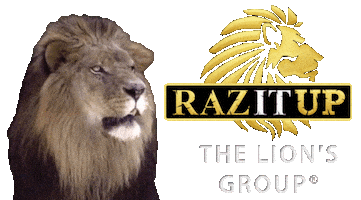 Lion King Realestate Sticker by Yanni Raz