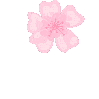 Cherry Blossom Pink Sticker by elzie