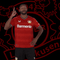 I Got It Head GIF by Bayer 04 Leverkusen