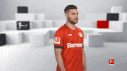 Posing Bayer 04 GIF by Bundesliga