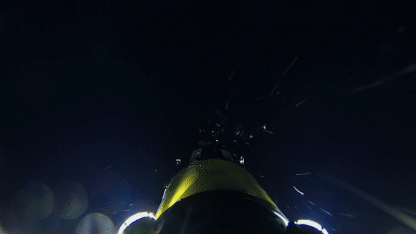 water dive GIF by Shark Week