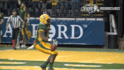 north dakota state football GIF by NDSU Athletics