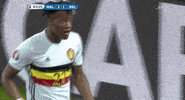 euro 2016 GIF by Sporza