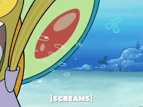 season 5 new digs GIF by SpongeBob SquarePants