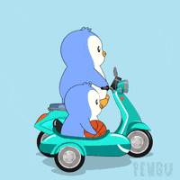 Driving On My Way GIF by Pudgy Penguins