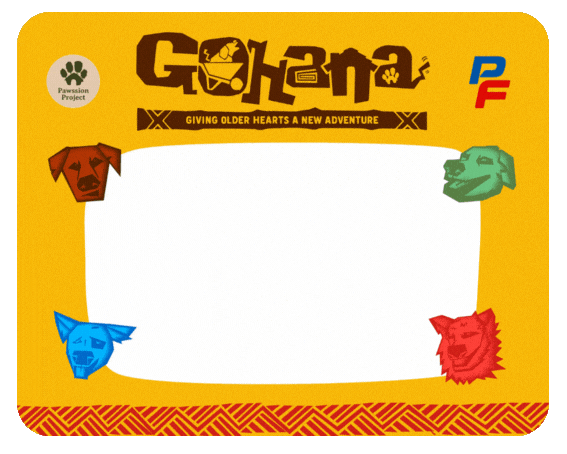 Pawssionproject GIF by Pawssion Project Foundation Inc.