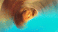 Native Power