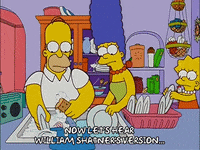 homer simpson episode 13 GIF