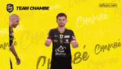 GIF by Team Chambé