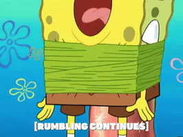 season 6 porous pockets GIF by SpongeBob SquarePants
