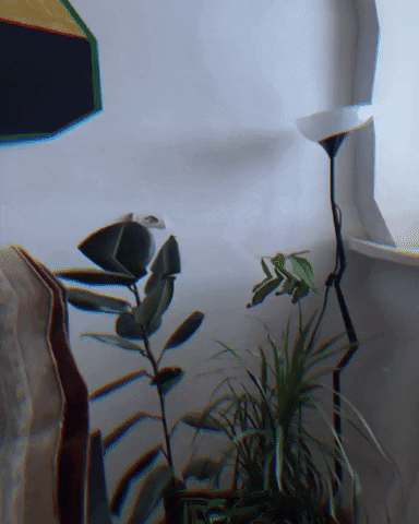 Art Augment GIF by Aleksey Efremov