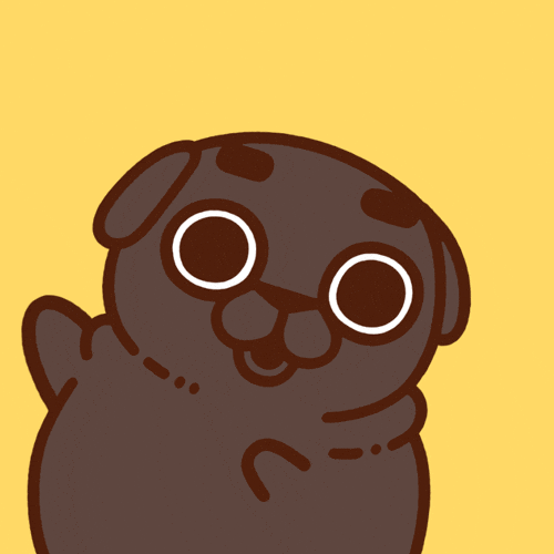 Look Here Omg GIF by Puglie Pug
