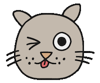 Cat Wink Sticker by Thank You Coffee