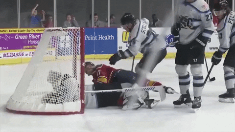 QCStorm giphyupload storm quad city storm qcstorm GIF