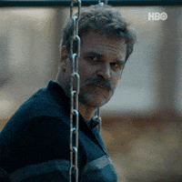 David Harbour GIF by HBO Max