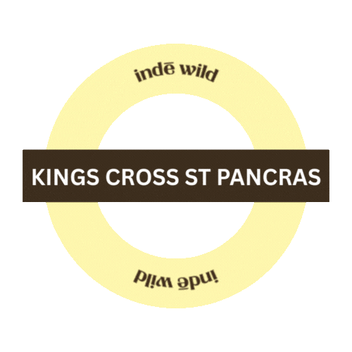 I Spy Inde Wild Sticker by indewild