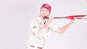 Bill Russo GIF by Lafayette Leopards
