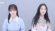 Serious K Pop GIF