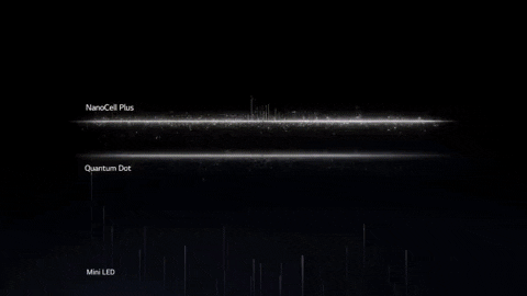 exushka giphyupload GIF