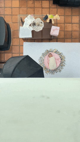 giphy.gif
