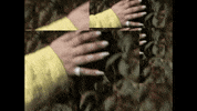 subpoprecords joy sub pop subpop sunlight GIF