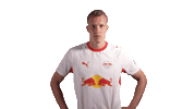Red Bull Wow Sticker by RB Leipzig