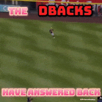 Baseball Arizona GIF