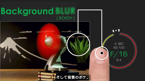 expodo_tim camera ui ux user interface GIF