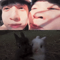 Jung Kook Jk GIF
