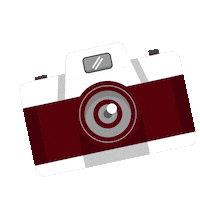 Photography Picture Sticker by Musicalweb.nl