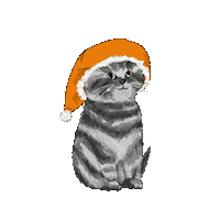 Cat Christmas Sticker by IAMS Deutschland