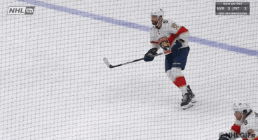 Ice Hockey Sport GIF by NHL