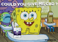Happy Spongebob Squarepants GIF by Imaginal Biotech