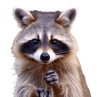 Heart Eat Sticker by plantamedium