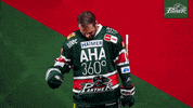 Del Pureemotion GIF by Augsburger Panther Eishockey GmbH