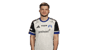 Hamburger Sv Hello Sticker by Bundesliga