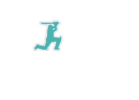 For The Fans Cricket Sticker by ACKO India