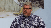 Bbc What GIF by The QI Elves