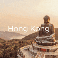 VirginAtlantic holiday asia hong kong virgin GIF