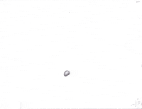 grabbing attention deficit disorder GIF by Alex Boya