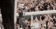Gabriel Davis GIF by UCF Knights