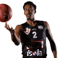 Basketball Sticker by Be A Legend