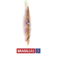 Pratinha Brasilgas Sticker by Nacional Gás