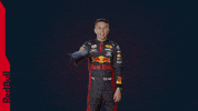 Red Bull F1 GIF by Red Bull Racing
